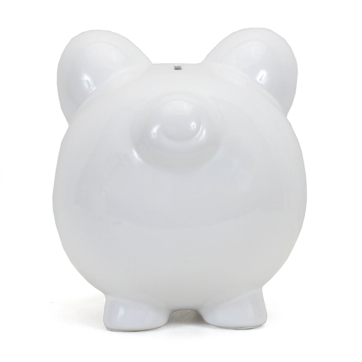 White Big Ear Pig