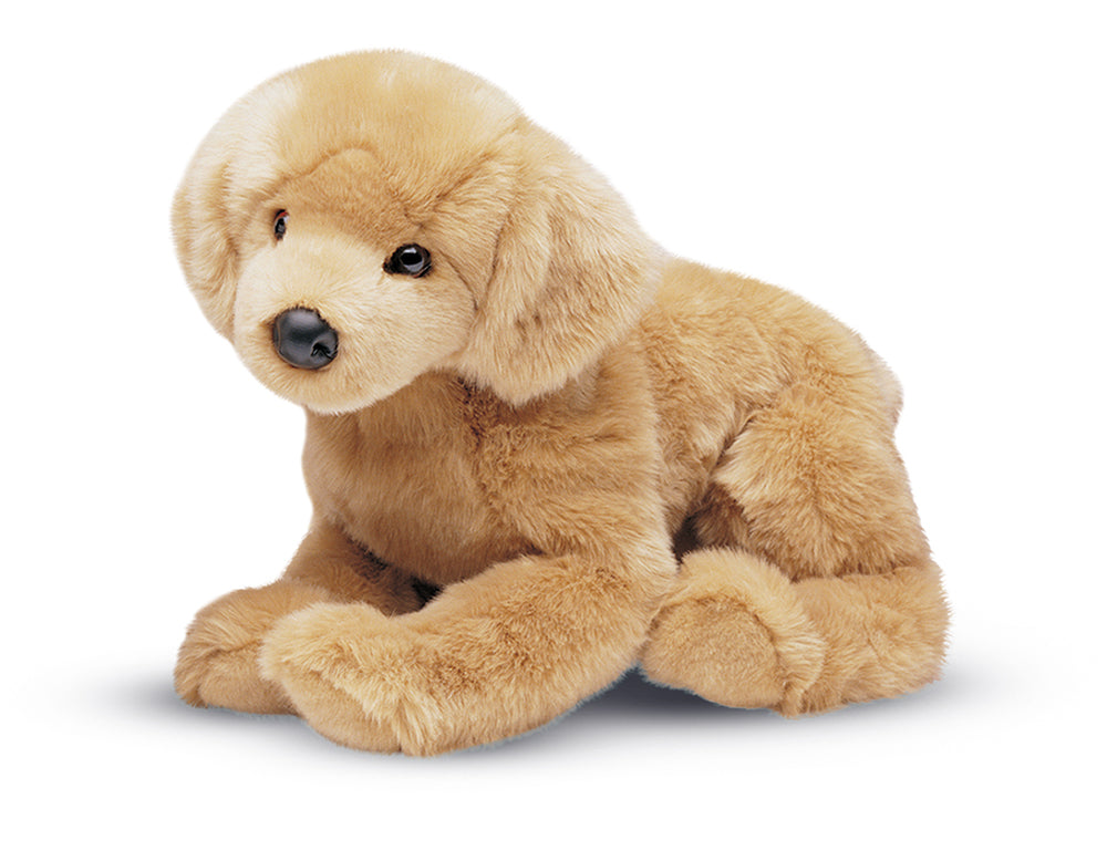Honey Golden Retriever Floppy