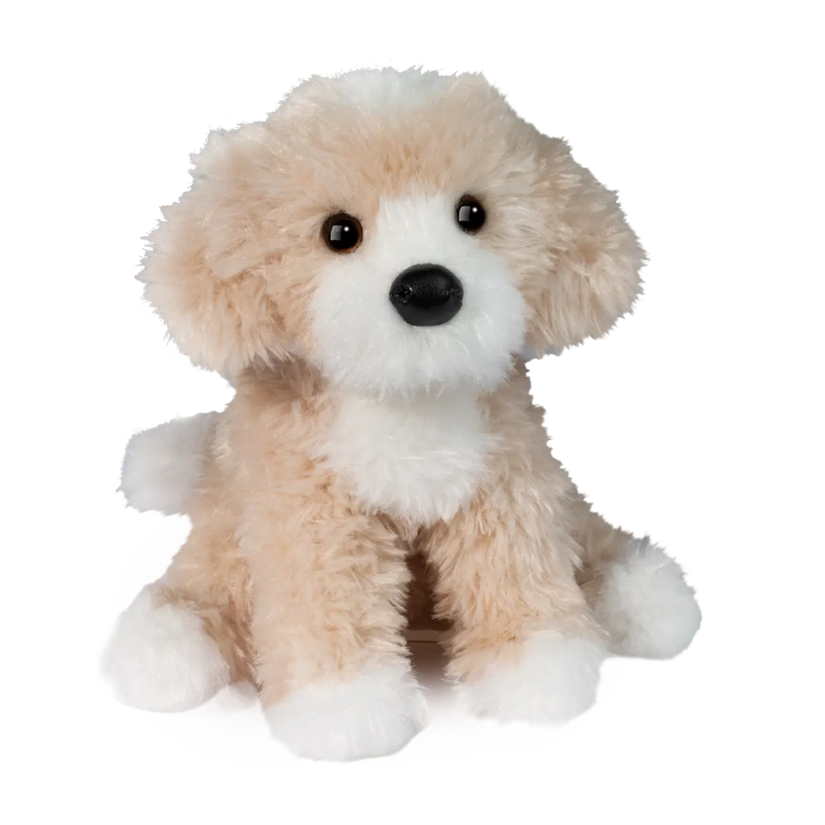 Darcy Goldendoodle
