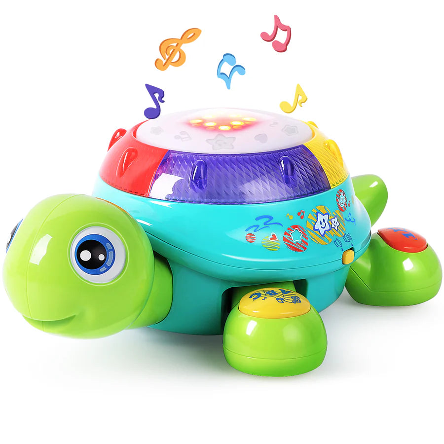 Music Turtle