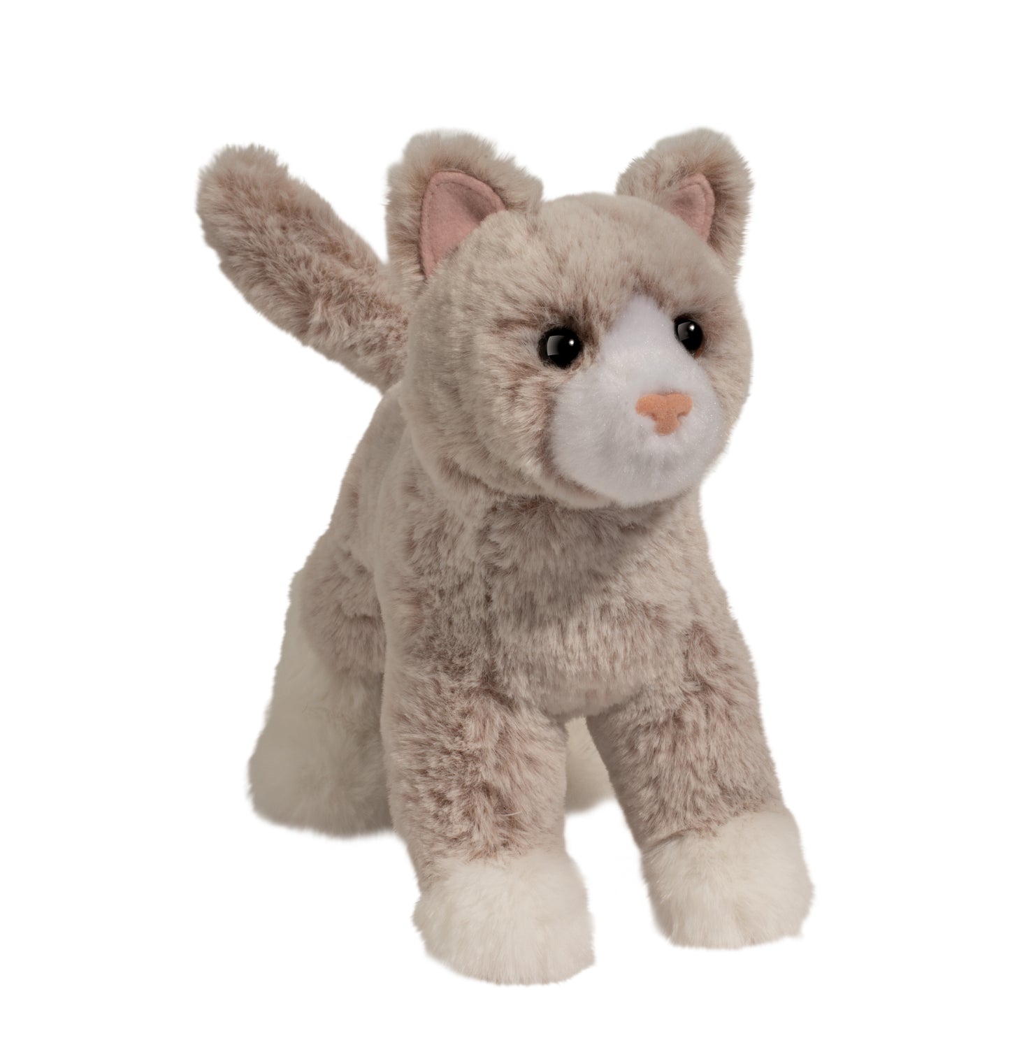 Abby Tan Cat