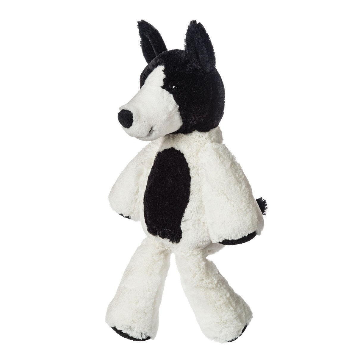 Marshmallow Trix Terrier