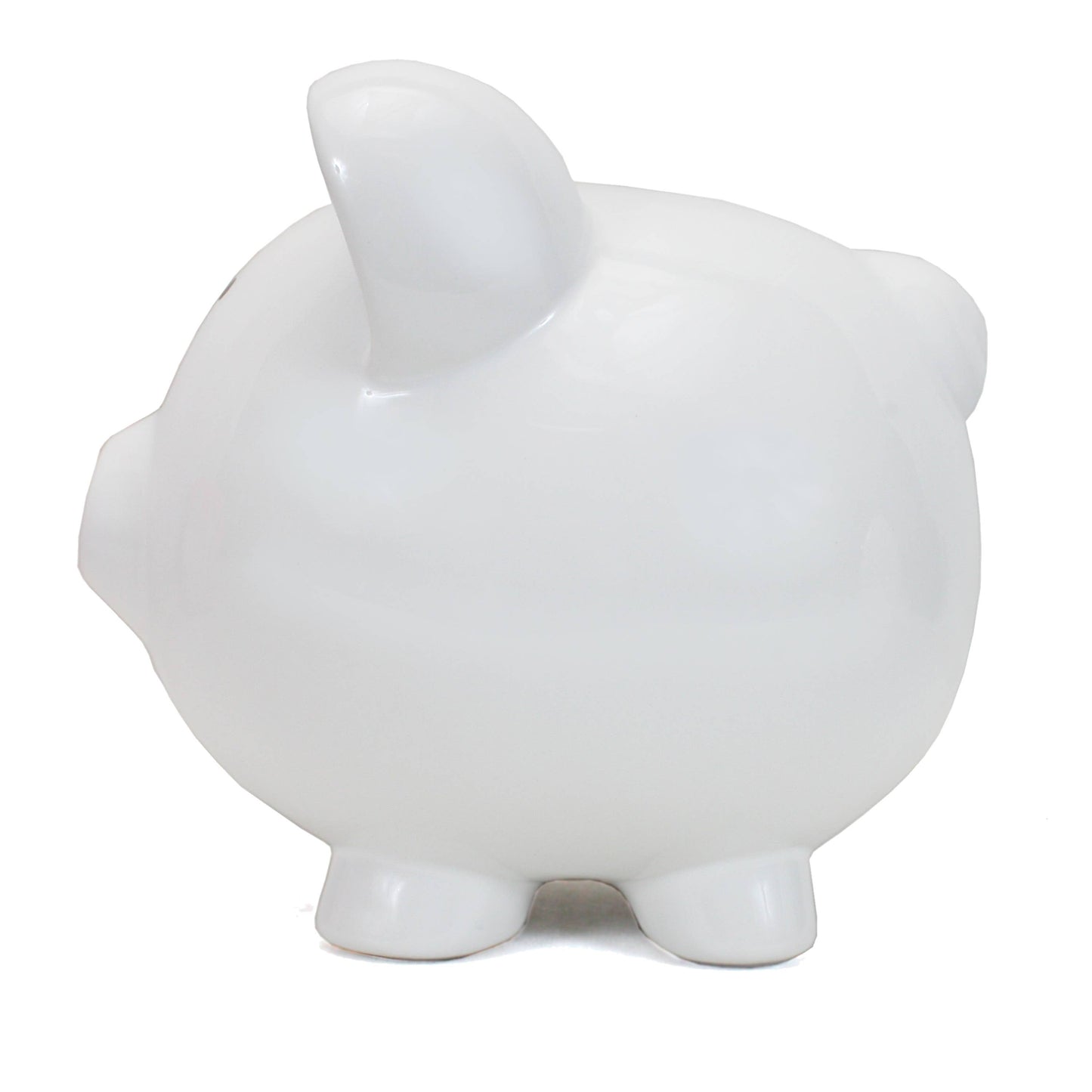 White Big Ear Pig