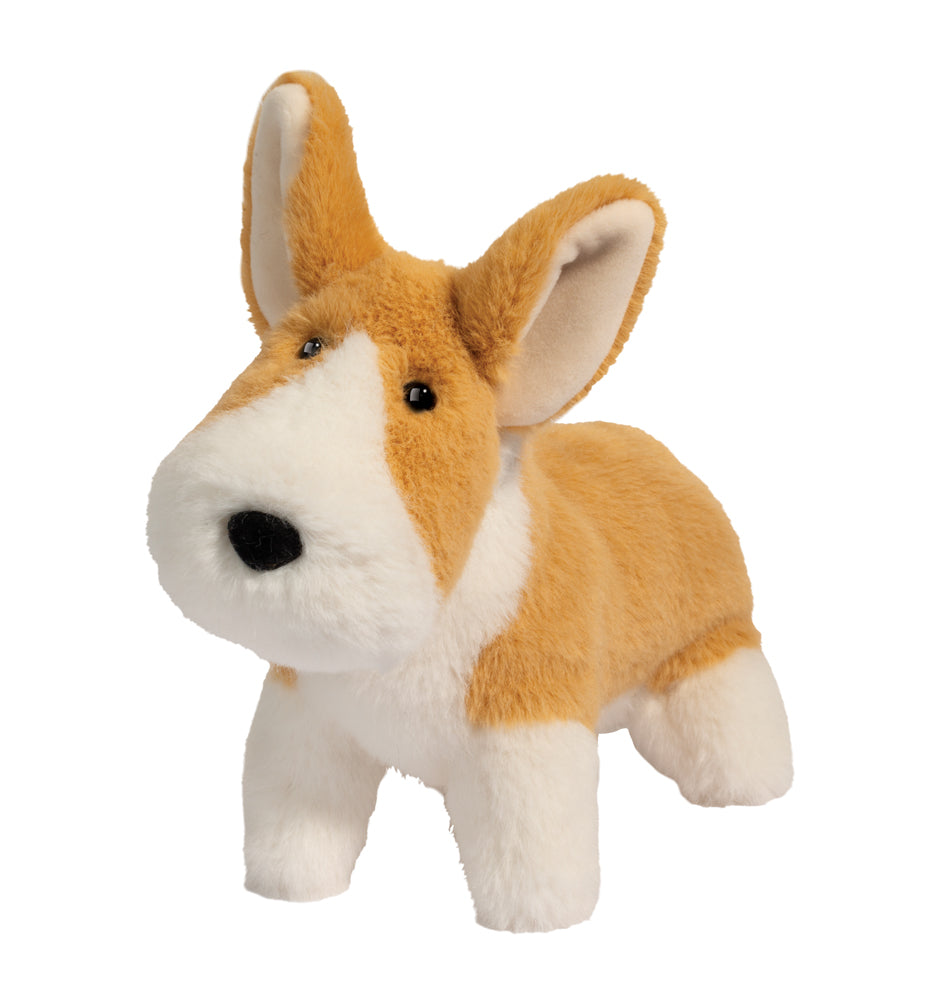 Muzzle Corgi Carl