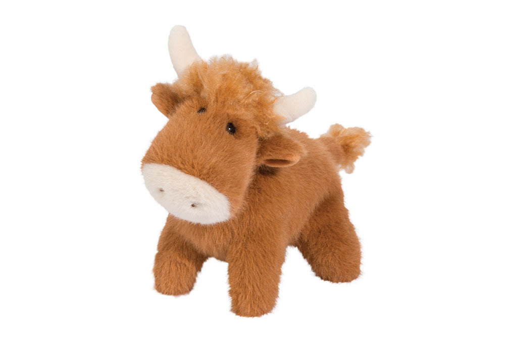 Muzzle Hank Highland Cow