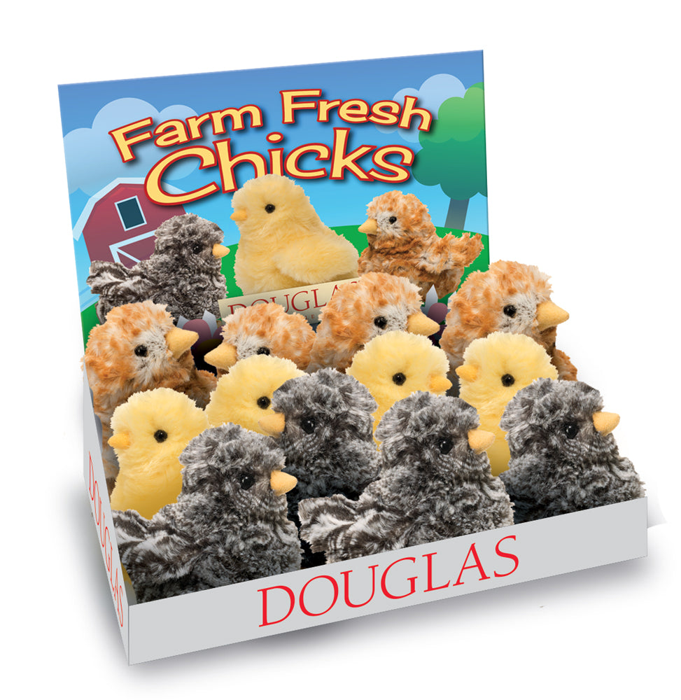 Chicks Assortment