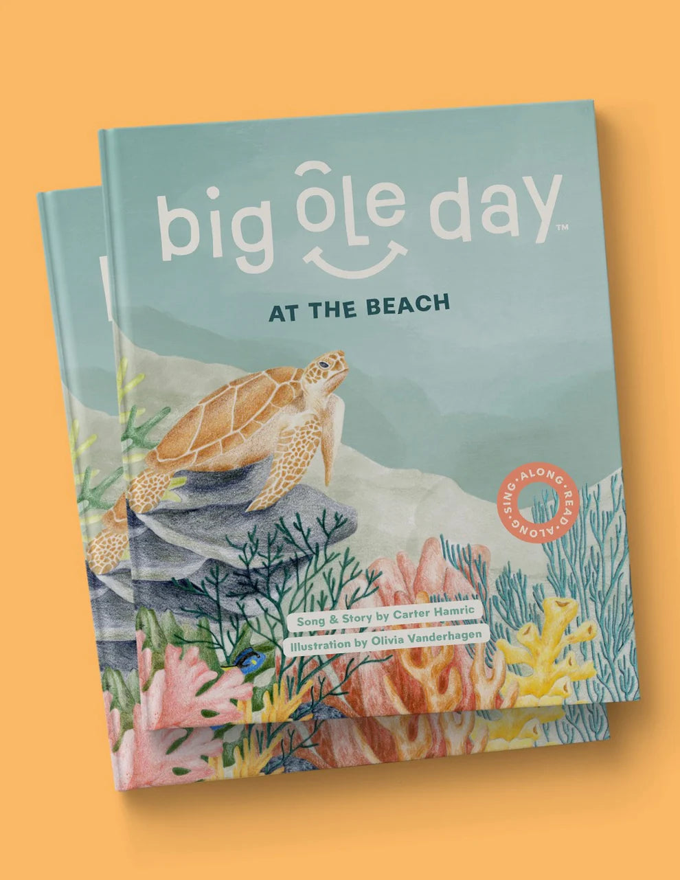 Big Ole Day at the Beach Book