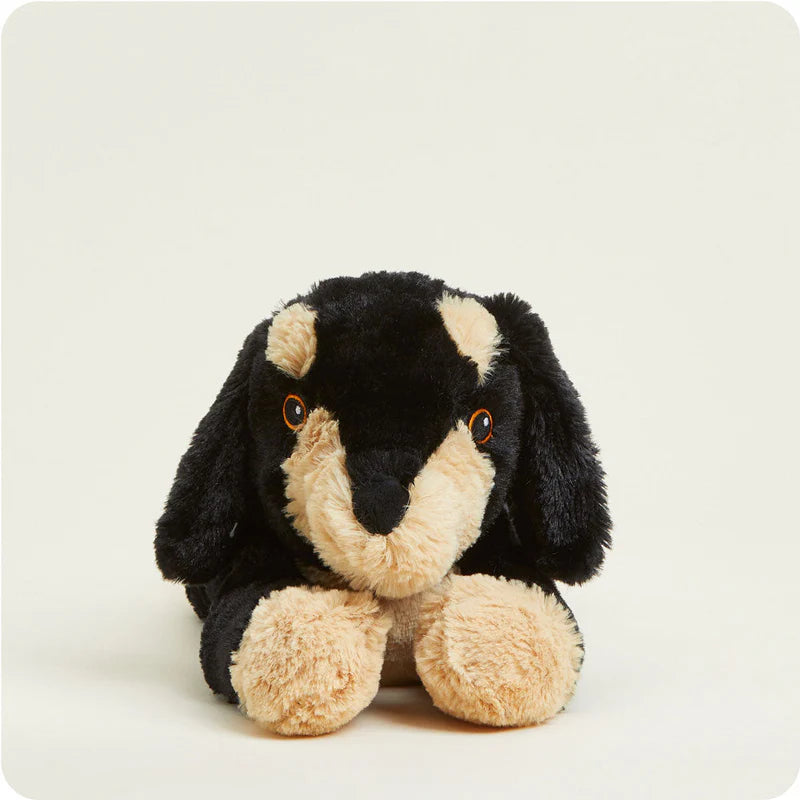 Warmie Dachshund
