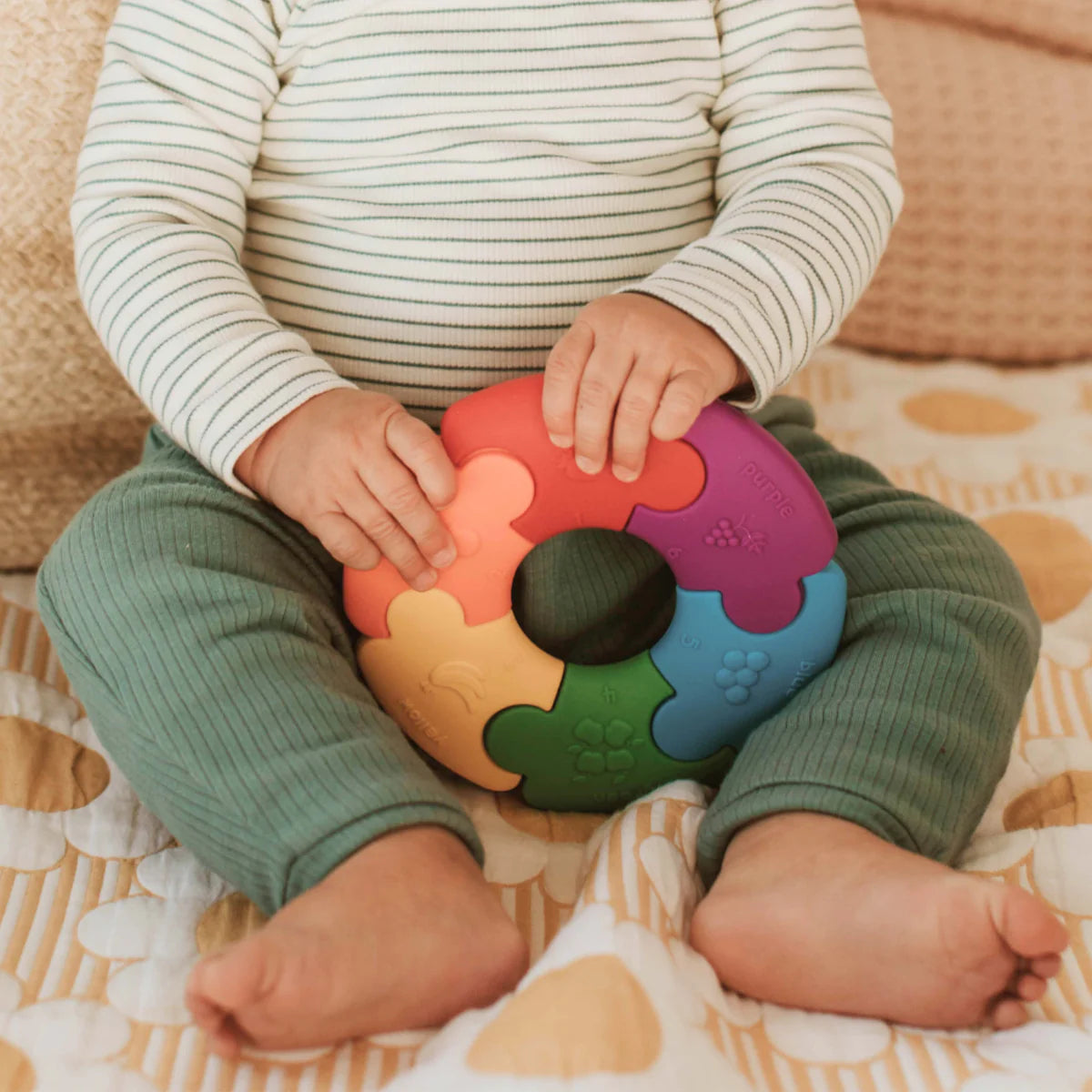 Jellystone Color Wheel
