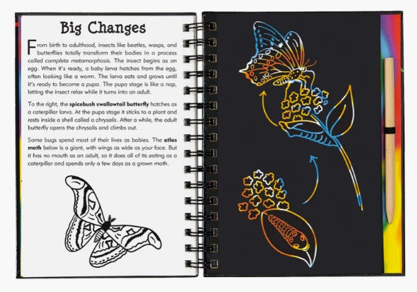 Bugs! Scratch and Sketch