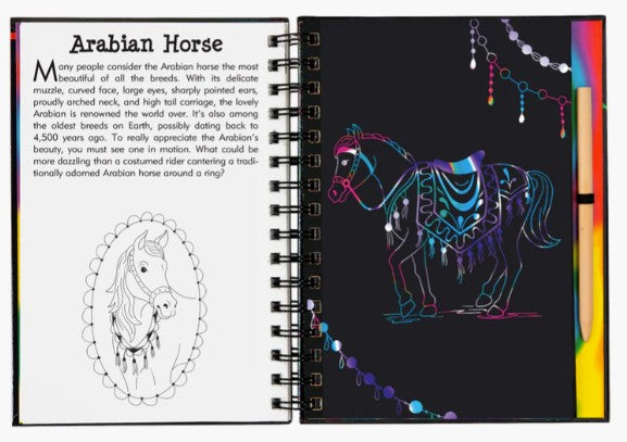 Horses Scratch and Sketch
