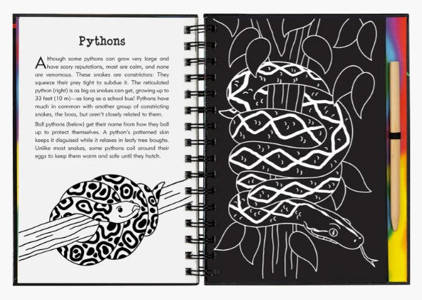 Reptiles & Amphibians Scratch and Sketch