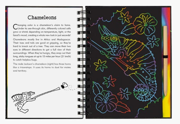 Reptiles & Amphibians Scratch and Sketch