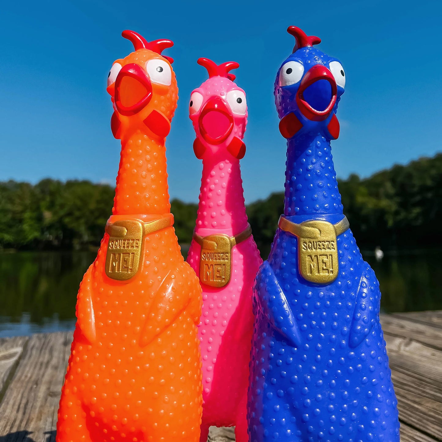 12in Squeeze Me Chicken - Medium
