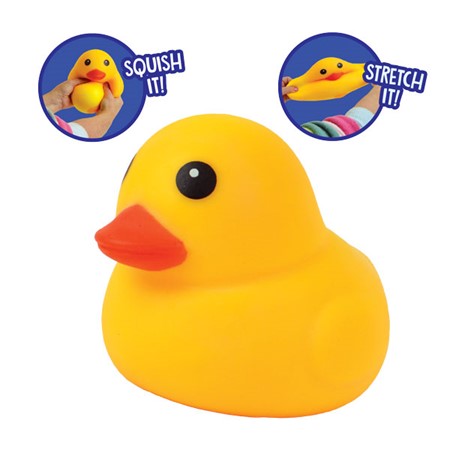 My Pet Duck