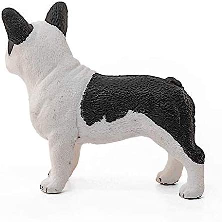 Sehh French Bulldog