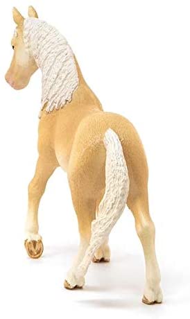 Sehh Akhal-Teke Stallion