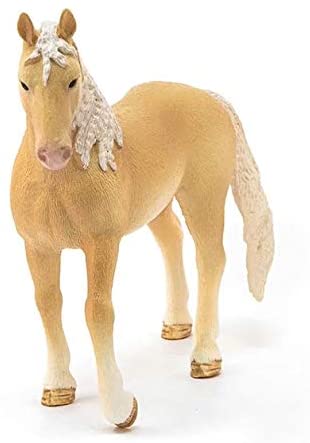 Sehh Akhal-Teke Stallion