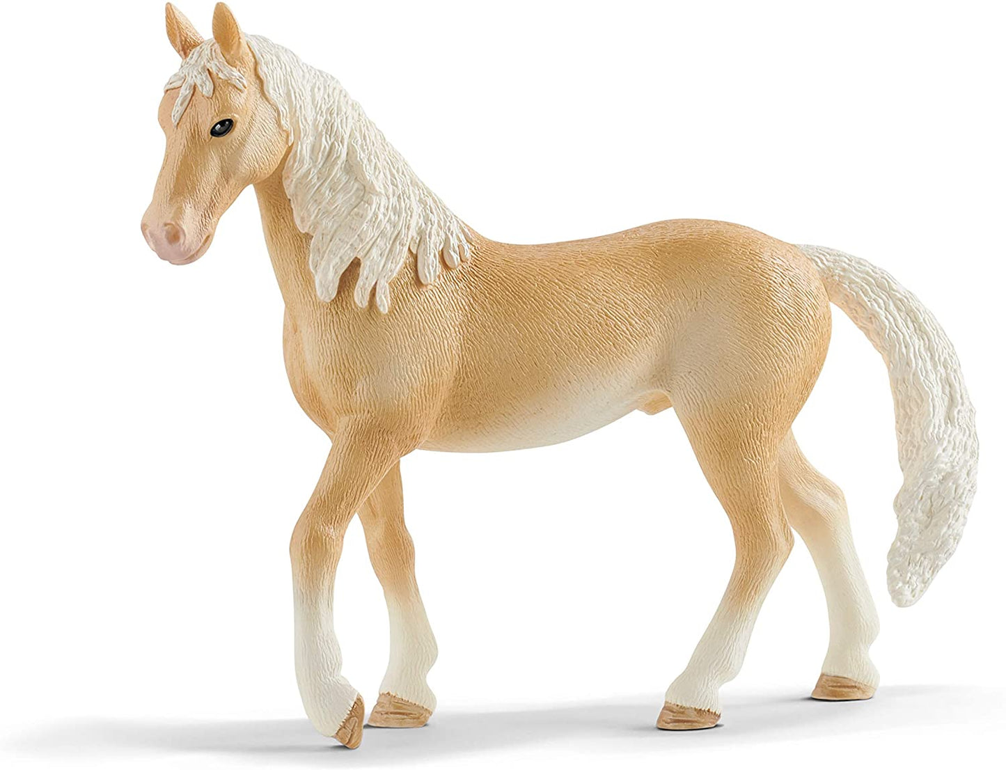 Sehh Akhal-Teke Stallion