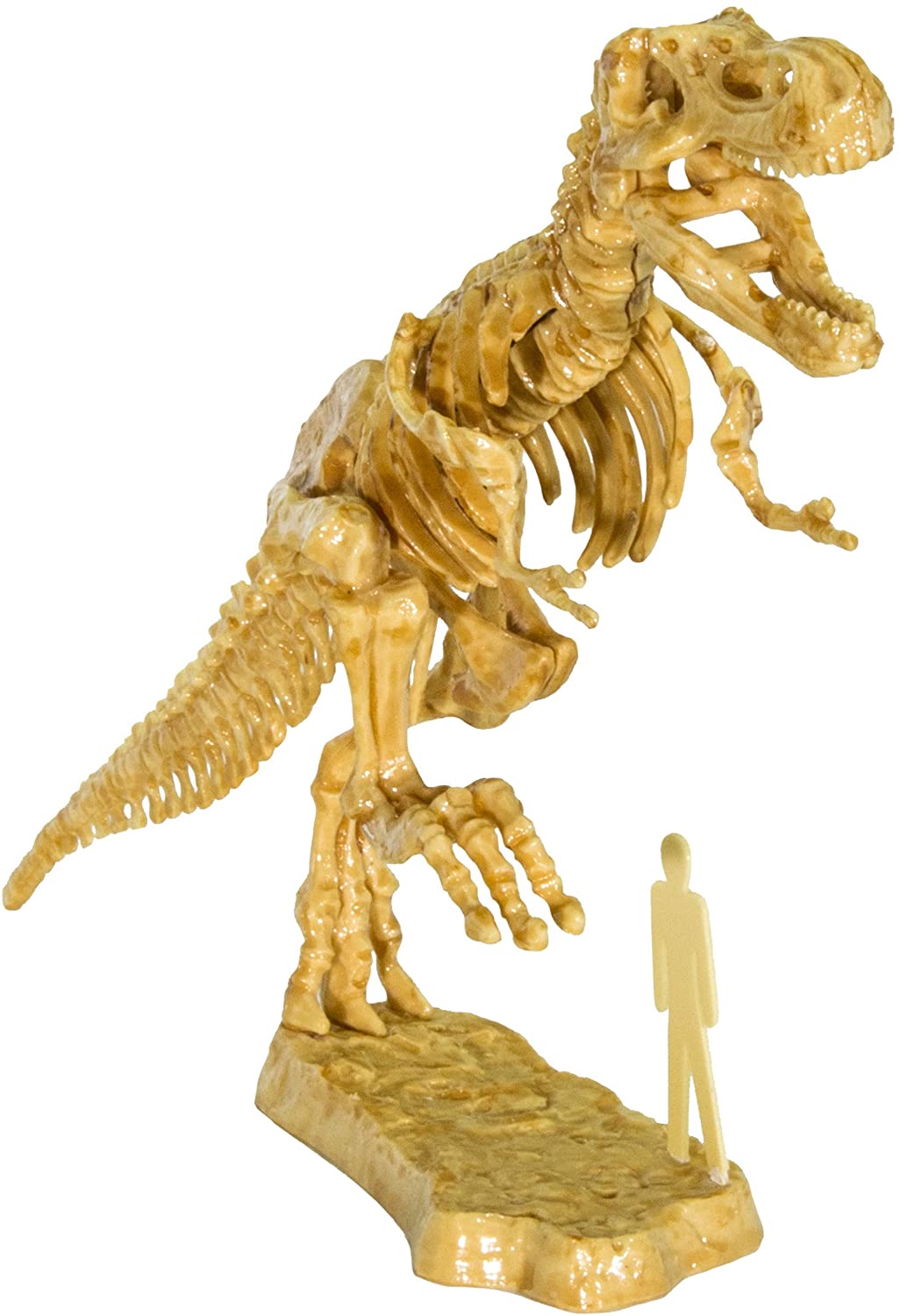I Dig IT 3d Trex