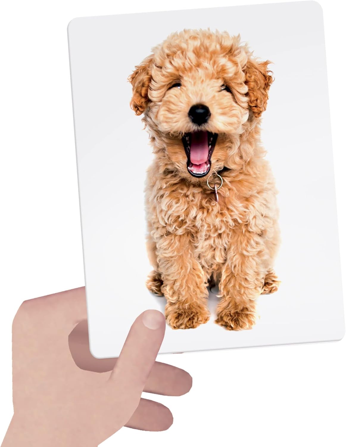 Montessori Flashcards
