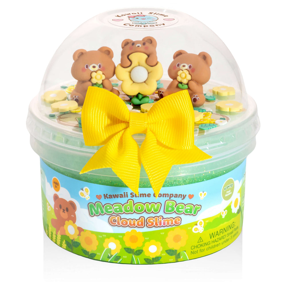 Kawaii Meadow Bear Cloud