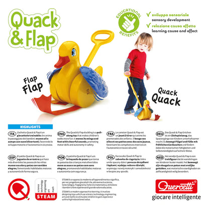 Quack and Flap