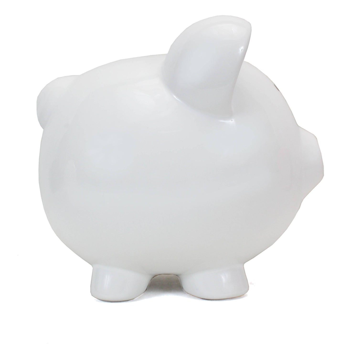 White Big Ear Pig
