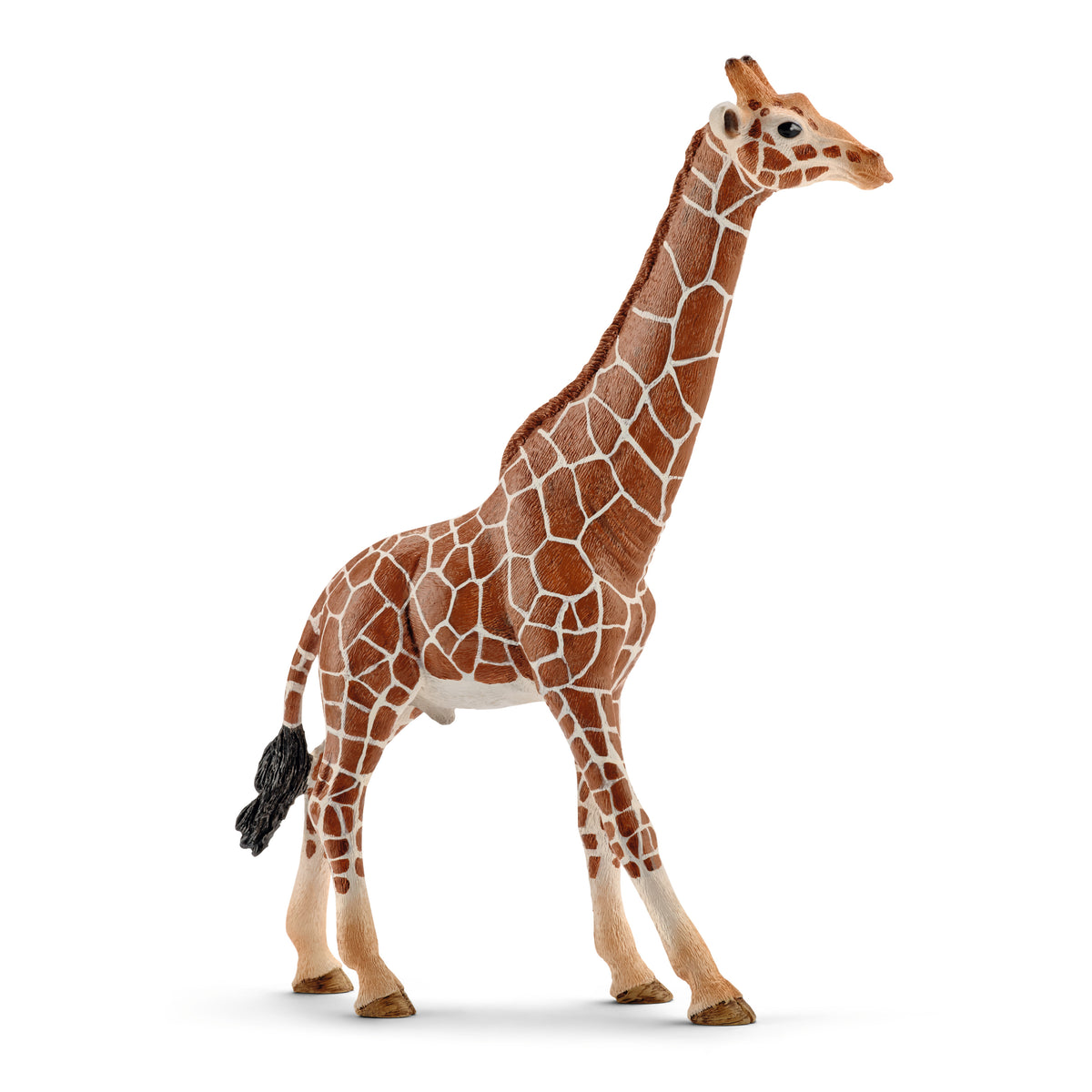 Schleich Giraffe - Male