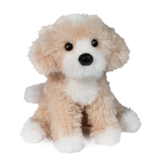 Darcy Goldendoodle