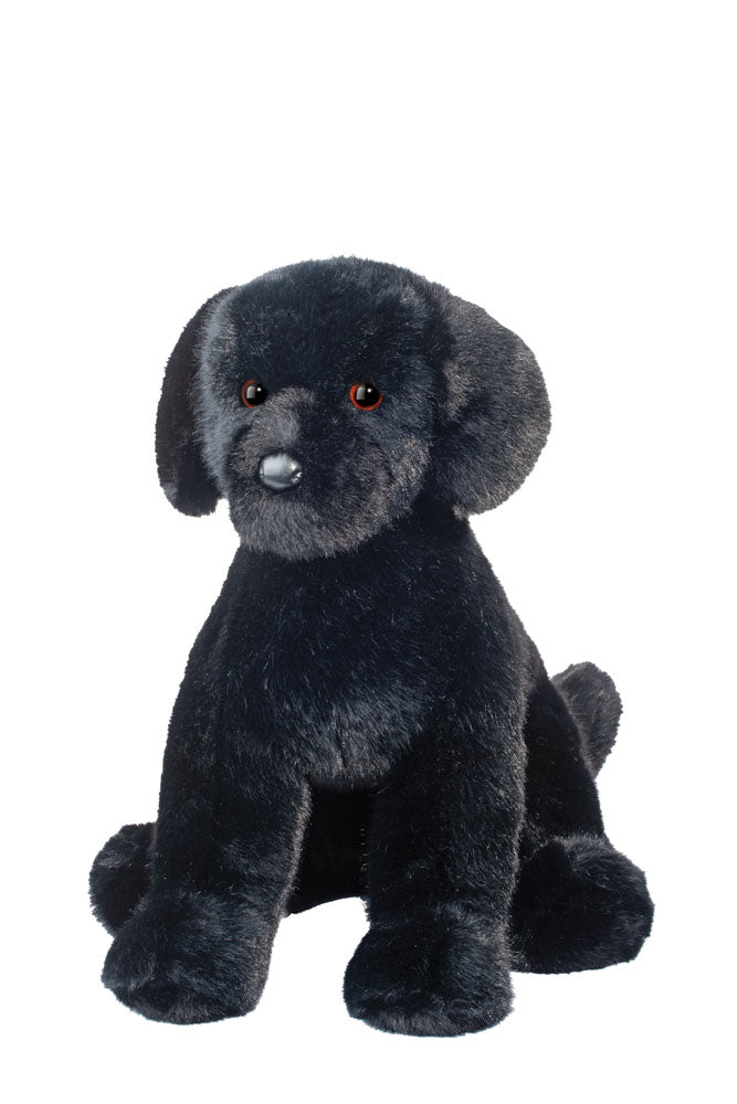 Spruce Black Lab