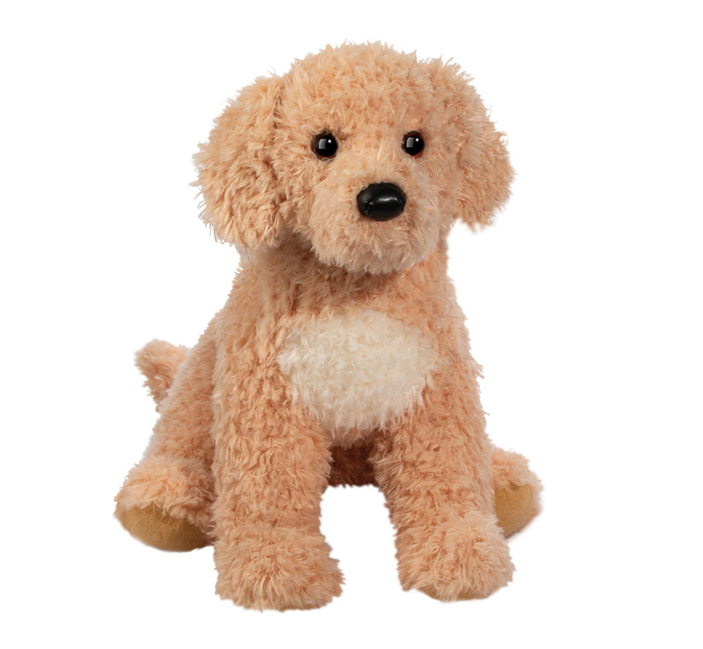 Noodle Goldendoodle, Large