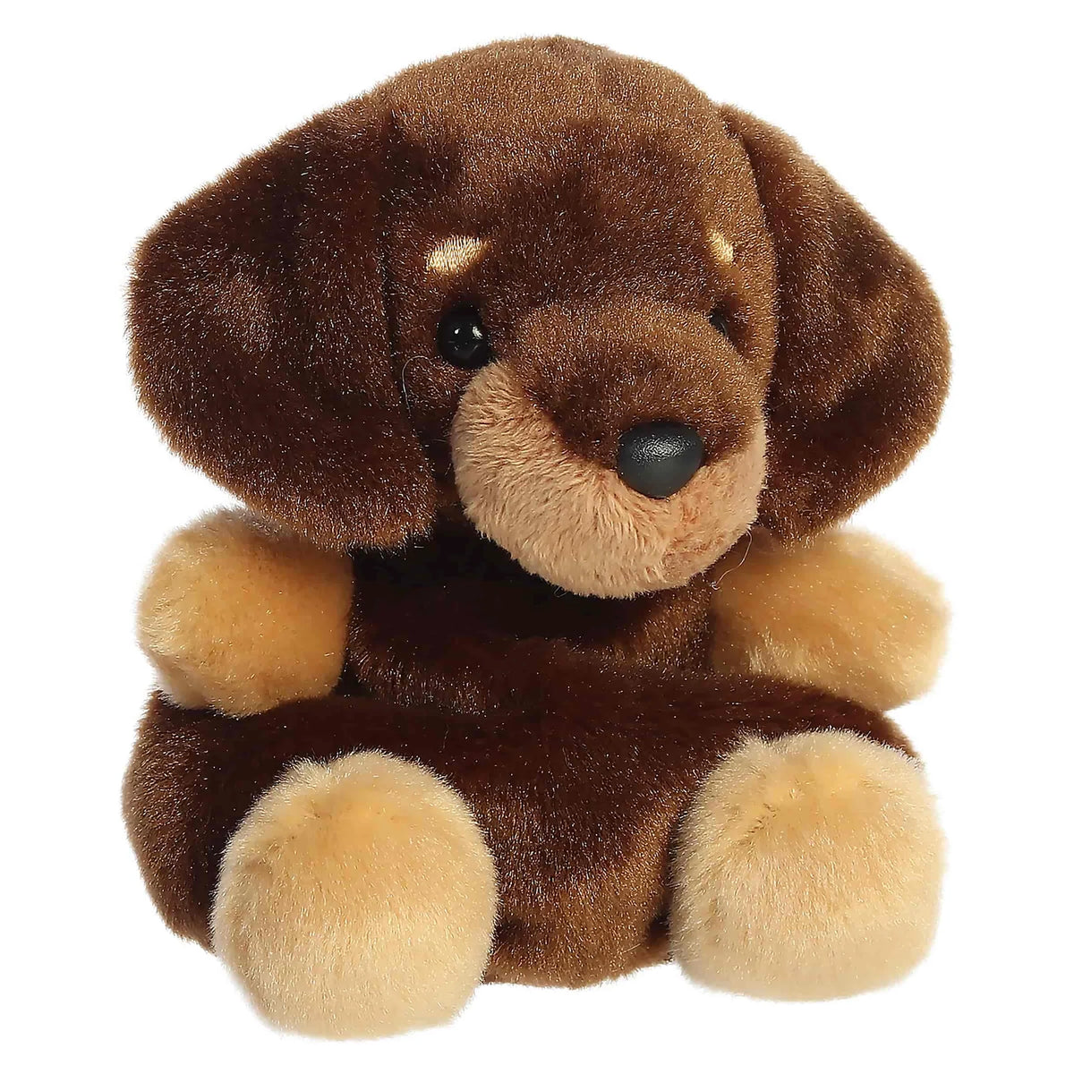 Palm Pal Houdini Dachshund