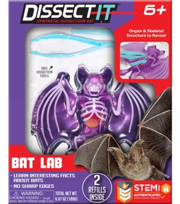 Dissect IT Bat Lab