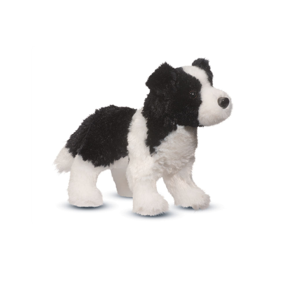 Meadow Border Collie