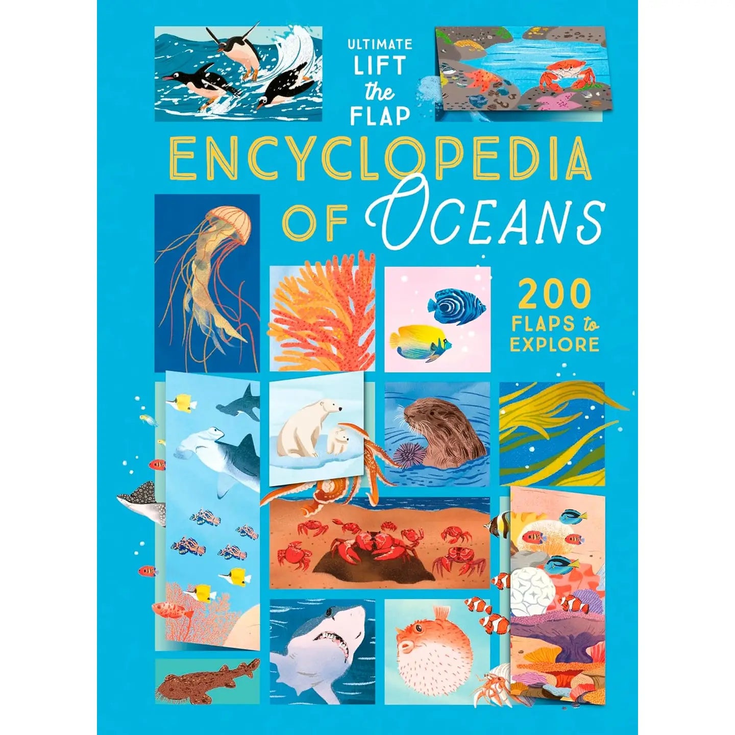 Ultimate Lift the Flap Encyclopedia of Oceans