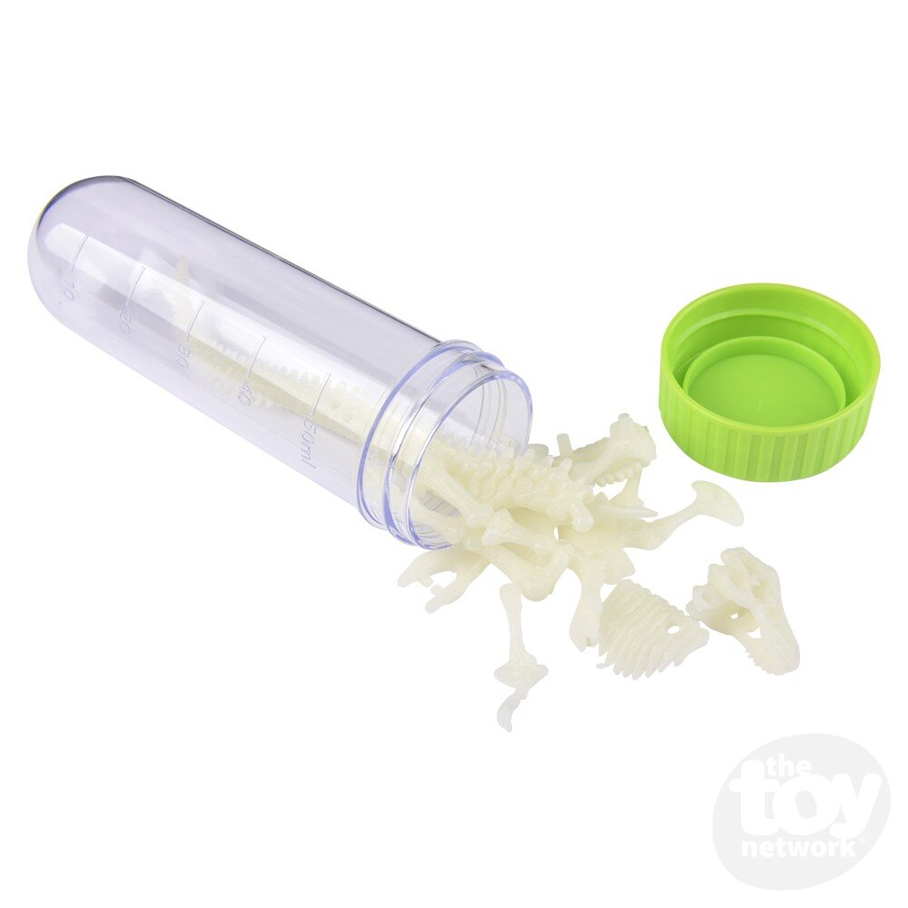 Kidzlabs Glowing T-Rex Skeleton