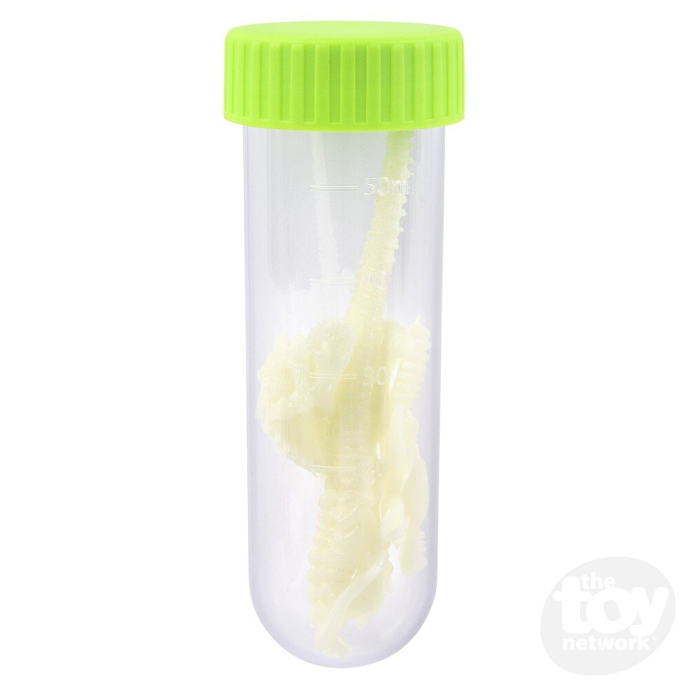 Kidzlabs Glowing T-Rex Skeleton