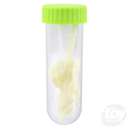 Kidzlabs Glowing T-Rex Skeleton