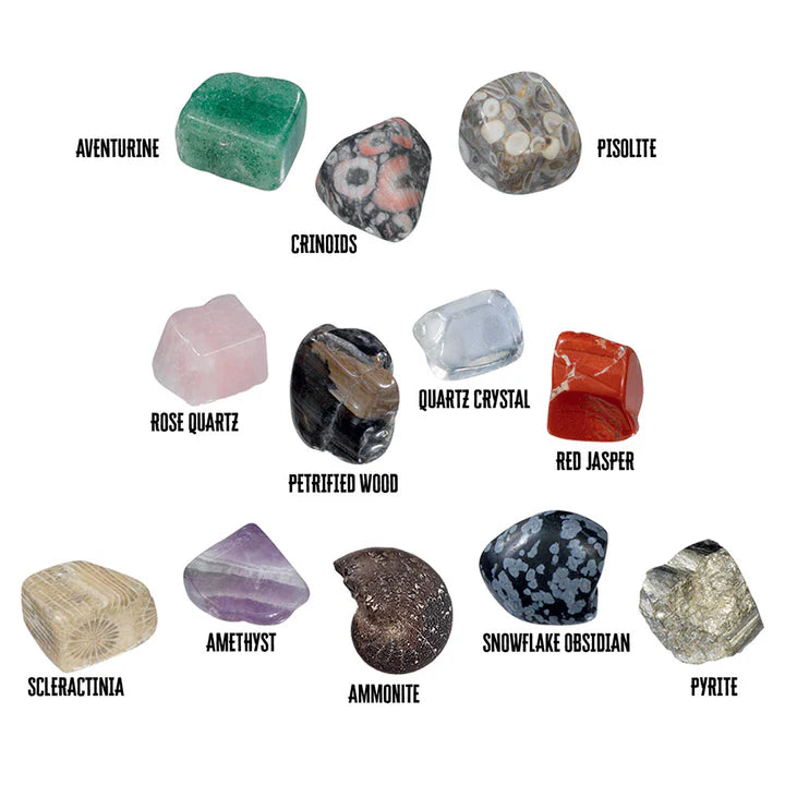 I Dig It! Rocks & Fossils - Mini Excavation