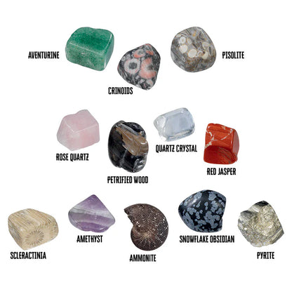 I Dig It! Rocks & Fossils - Mini Excavation
