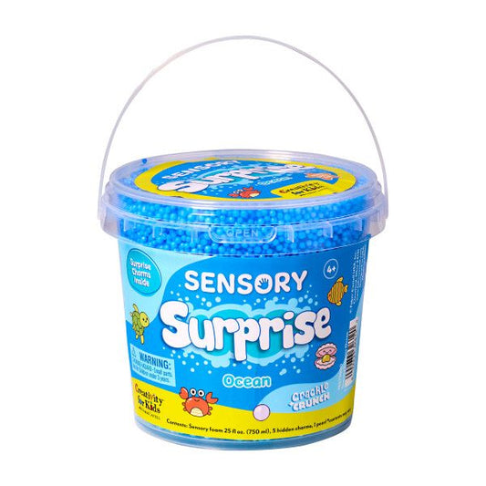 Sensory Surprise - Ocean