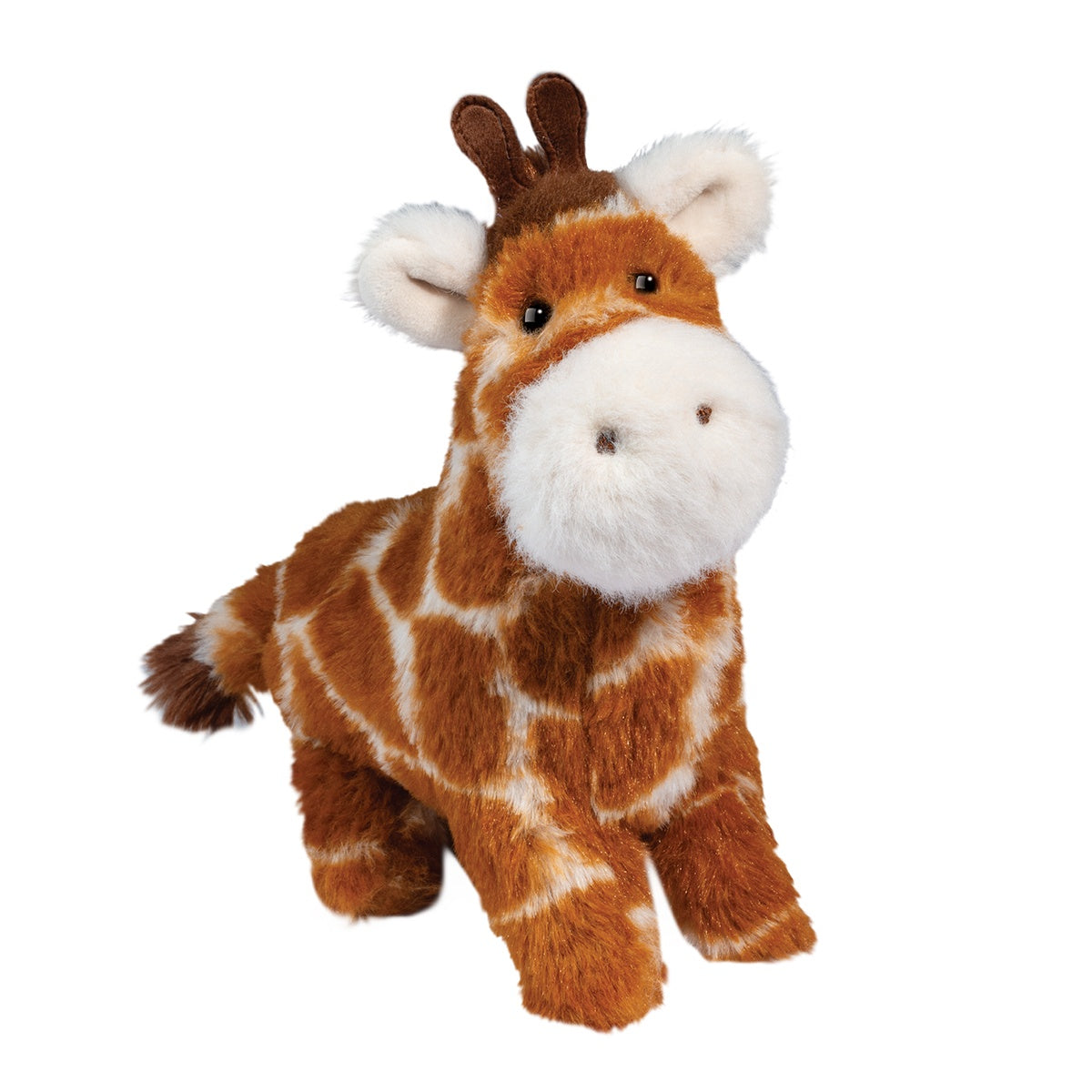 Muzzle Giraffe George
