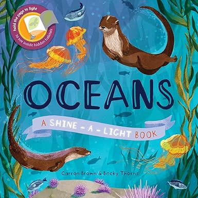 Shine a Light Oceans