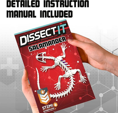 Dissect IT Salamander