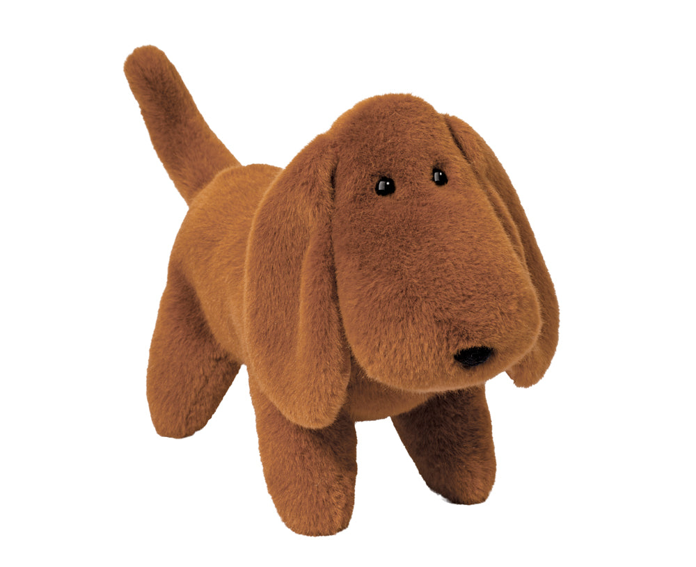 Large Muzzle Dale Dachshund