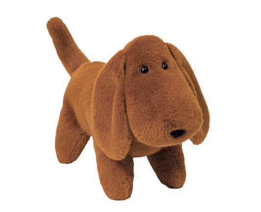 Large Muzzle Dale Dachshund
