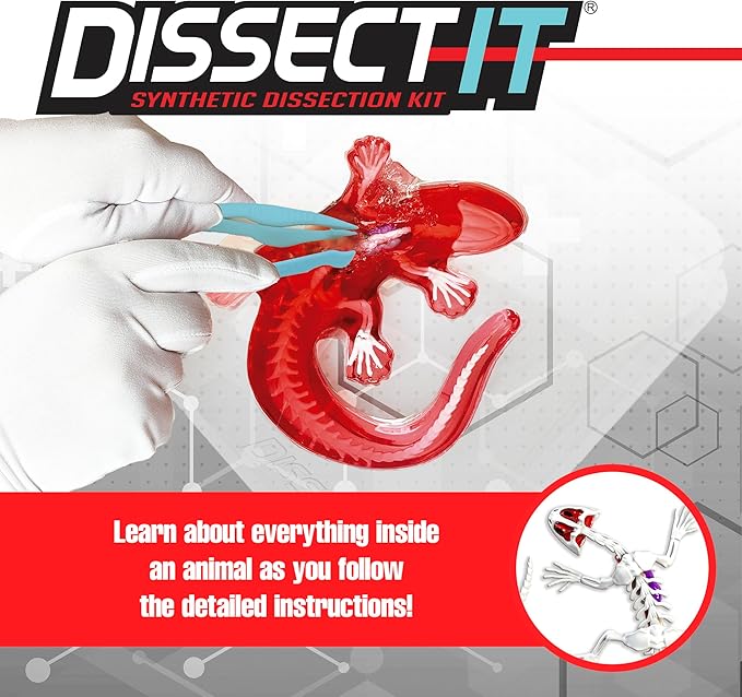 Dissect IT Salamander