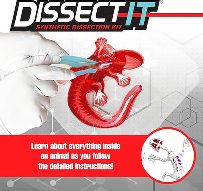 Dissect IT Salamander