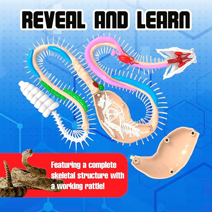 Dissect IT Rattlesnke Lab